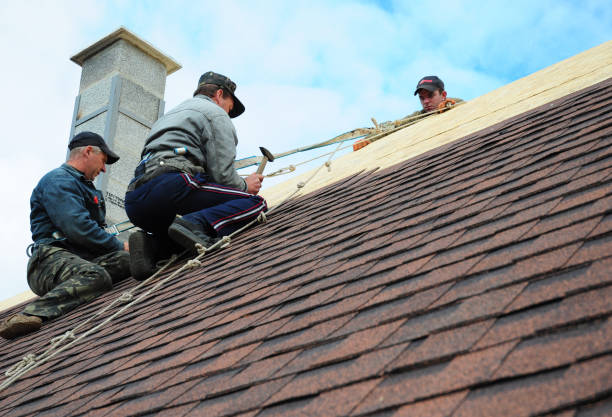 Best Roof Gutter Cleaning  in Sky Valley, CA